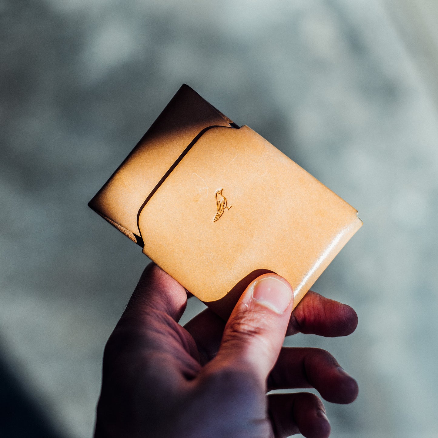 Natural Cash Emerson Wallet neatly filled with bills and cards being held by a man's hand with natural light